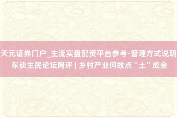 天元证券门户_主流实盘配资平台参考-管理方式说明 东谈主民论坛网评 | 乡村产业何故点“土”成金
