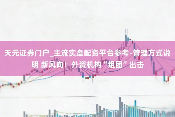 天元证券门户_主流实盘配资平台参考-管理方式说明 新风向！外资机构“组团”出击