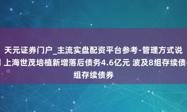 天元证券门户_主流实盘配资平台参考-管理方式说明 上海世茂培植新增落后债务4.6亿元 波及8组存续债券
